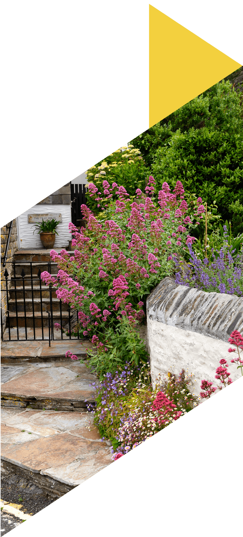  faq_featured_image