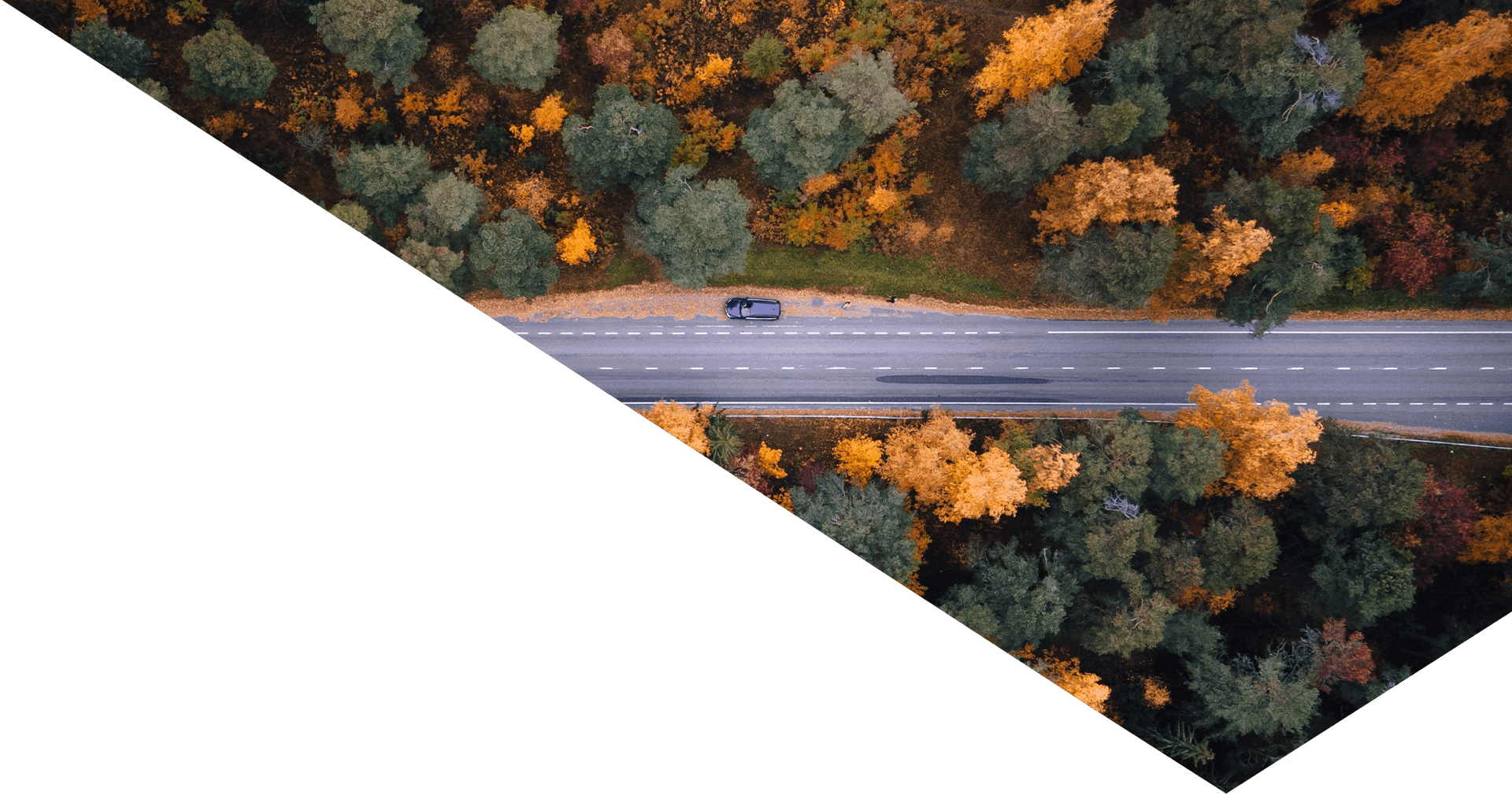 long-term-support-header-road-through-forest