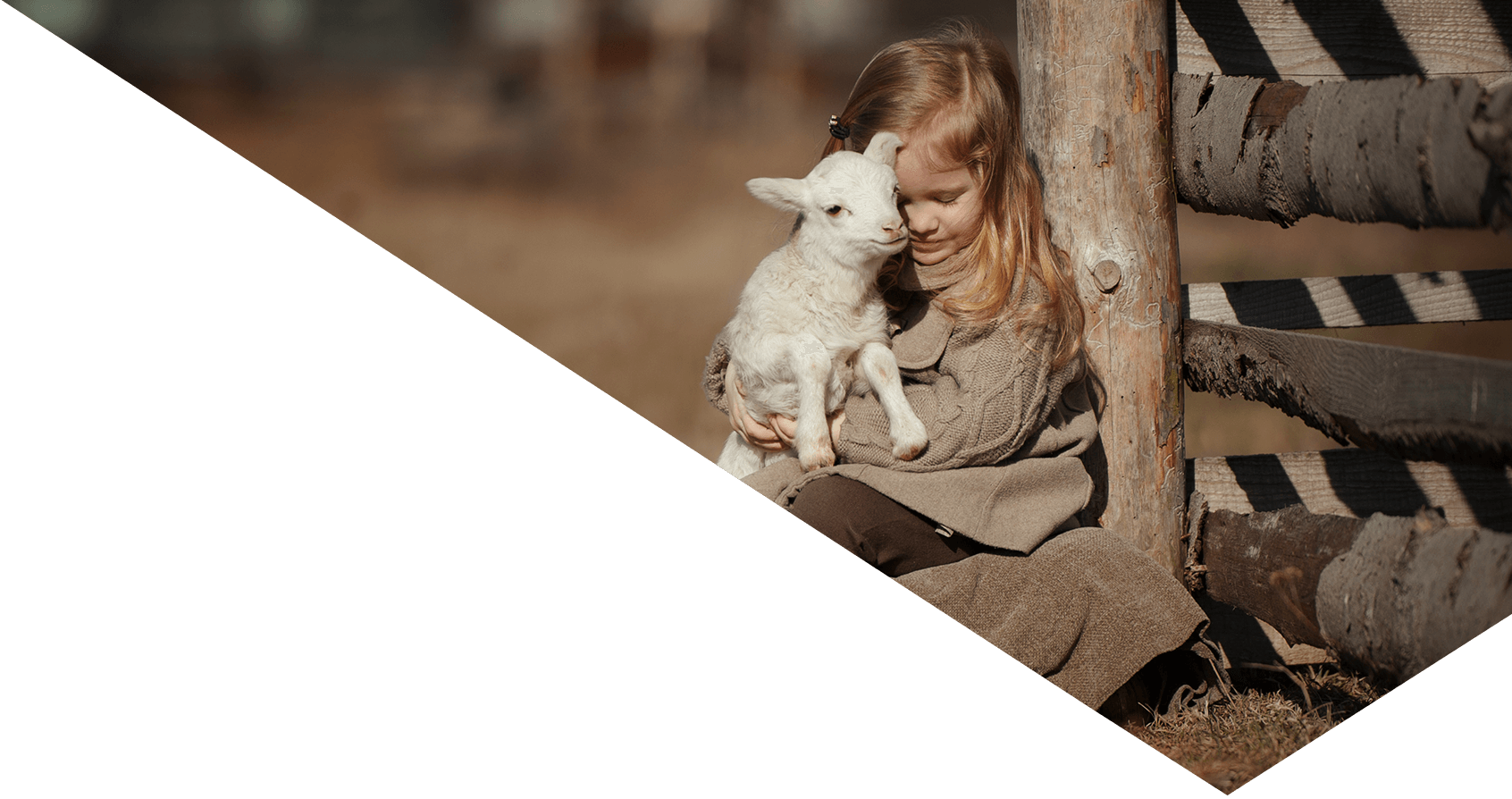 Image sowing a girl holding a lamb