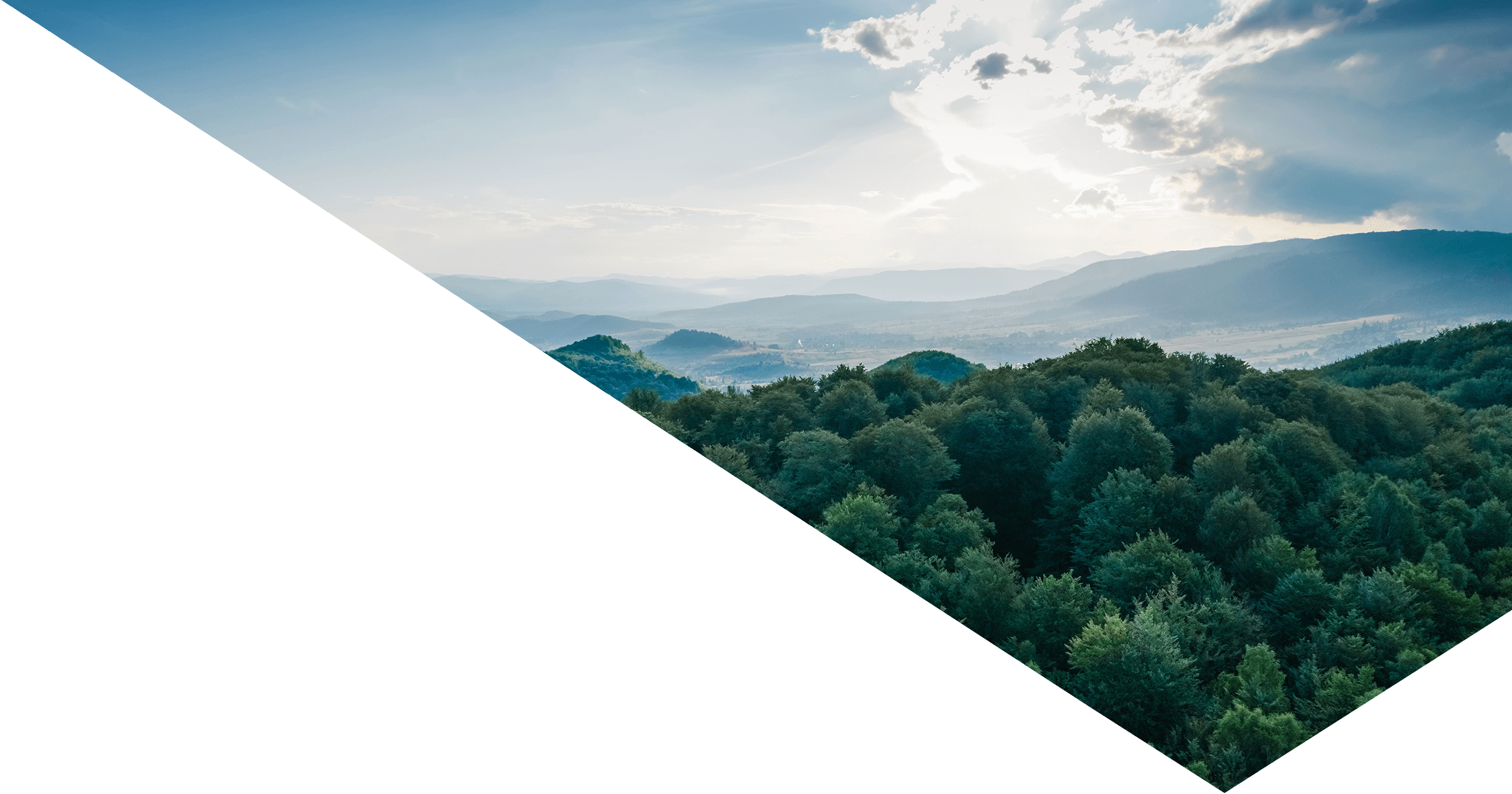 caseStudy-banner